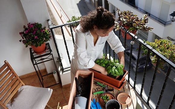 Precisa de mais privacidade na sua varanda? TudoGostoso ensina truques com plantas que vão bloquear a vista e deixar ainda mais bonita