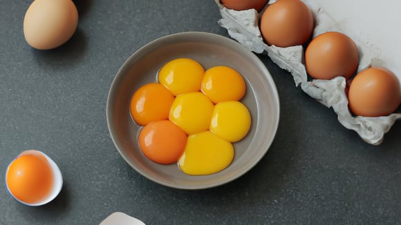 A cor da gema do ovo muda os benefícios do alimento? Descubra se o tom do amarelo faz diferença!