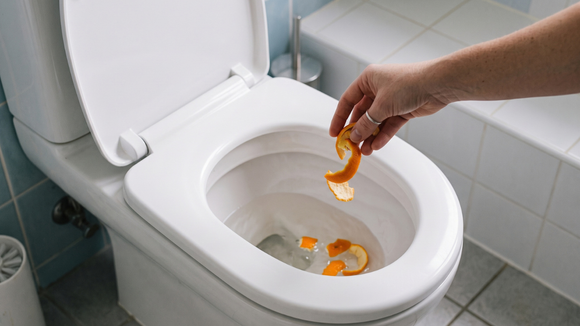Eu comecei a jogar cascas de laranja no vaso sanitário uma vez por semana depois que descobri esta dica no TudoGostoso