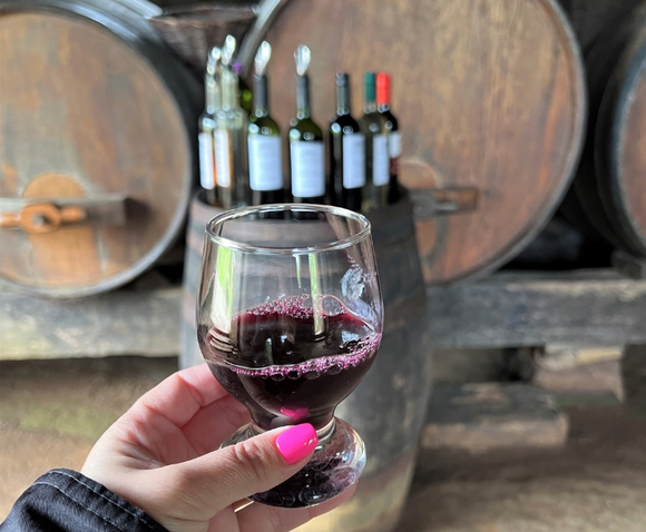 A Cantina Strapazzon tem uma das casas mais antigas e preservadas da região (Créditos: Reprodução Instagram Cantina Strapazzon)