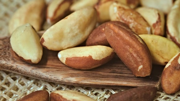 Castanha-do-Pará faz bem, mas pode intoxicar: entenda o limite seguro e quantas consumir por dia