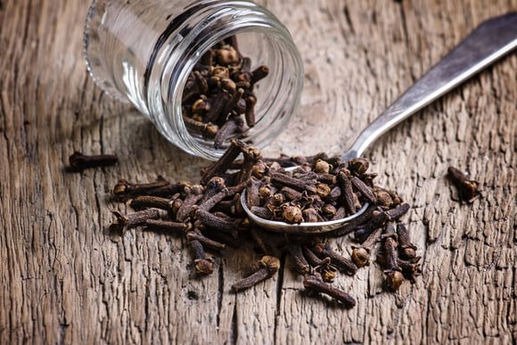 Cravo-da-índia é muito usado como especiaria em receitas, mas seus benefícios vão além de aroma e sabor. (Crédito: Shutterstock)