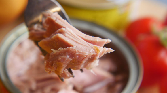 Presença de mercúrio no atum enlatado depende do tamanho e idade do peixe usado na conserva (Créditos: Shutterstock)