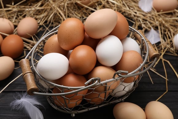 Poucos sabem qual é a única diferença entre ovos brancos e marrons
