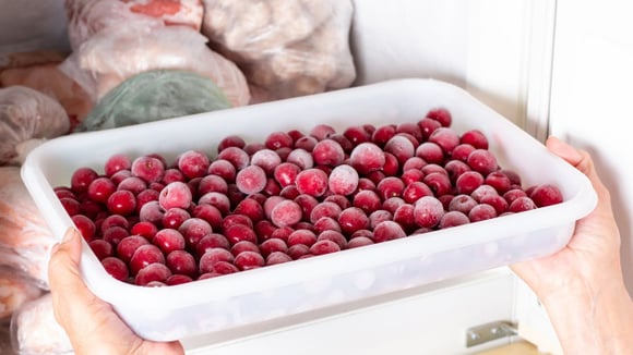 Para preservar a qualidade das cerejas, é importante fazer o pré-congelamento em camada única (Créditos: Shutterstock)