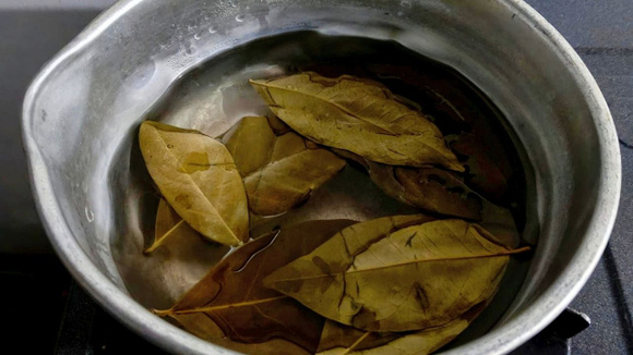 Ferver folhas de louro em meio copo de vinagre branco: para que serve e por que é recomendado?