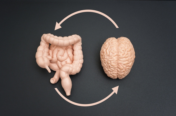 Setembro Amarelo: 4 sinais no intestino de que ansiedade e estresse estão afetando seu corpo
