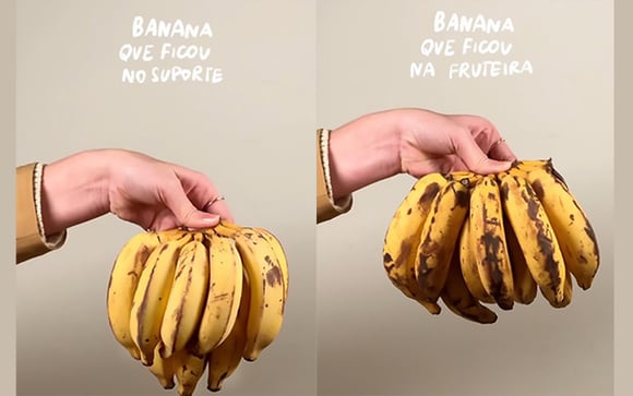 Com quantos anos você descobriu que você tem que manter a banana pendurada em casa?