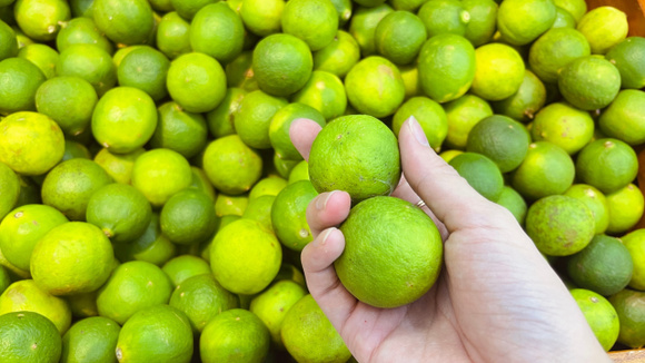 Como saber se um limão tem bastante suco? Aqui estão algumas dicas para escolher limões antes de comprá-los – você pode observar a diferença sem precisar cortá-los