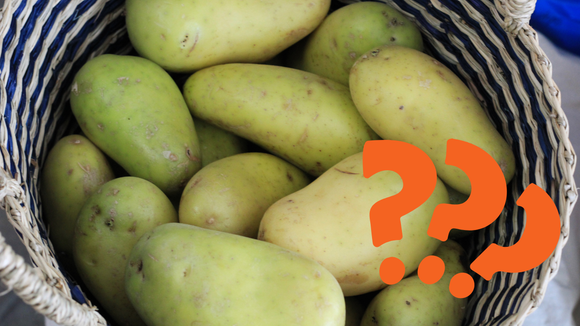 Pode comer batata que brotou? E esverdeada? Vem que o TudoGostoso conta se elas fazem mal à saúde!