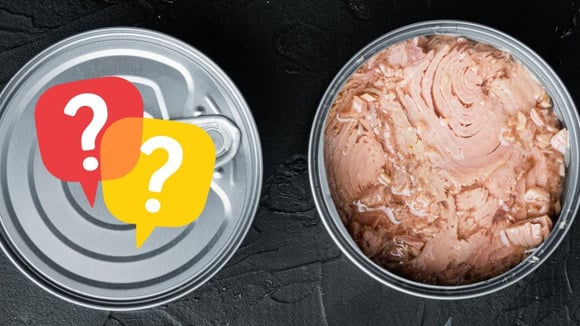 Atum enlatado em óleo ou em água: qual o melhor para a saúde e qual é o mais calórico? TudoGostoso tira todas as suas dúvidas!
