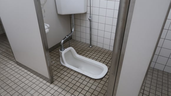 Embora não seja o modelo mais utilizado atualmente, ainda é possível encontrar vasos de chão em alguns lugares do Japão. (créditos: Shutterstock)