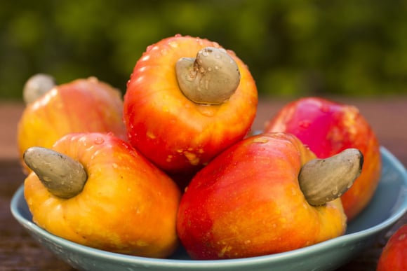 Caju tem proteína? Veja como aproveitar esse benefício pouco conhecido da fruta