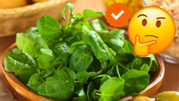 Esse é o jeito certo de consumir agrião com mais nutrientes
