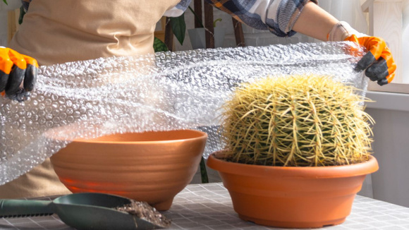 Poucos sabem, mas aprendi com um jardineiro experiente: o plástico bolha é um tesouro para o seu jardim!
