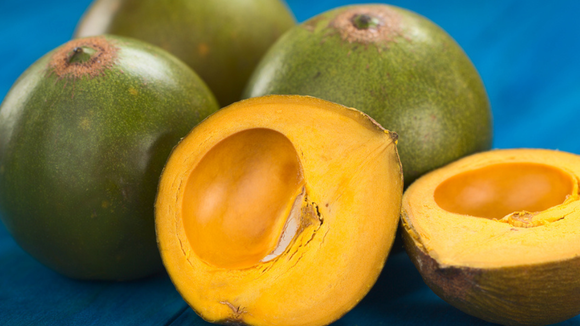 Conhecida como o ouro dos Incas, essa fruta andina é considerada um superalimento: descubra no TudoGostoso os benefícios da lúcuma