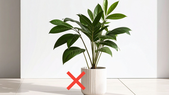 O vaso de planta feito de plástico ficou para trás: essa tendência é mais eficiente, melhora a drenagem e favorece o crescimento