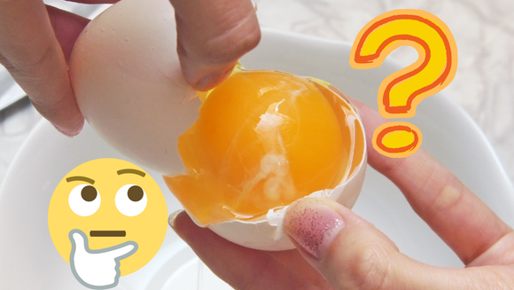 O que é isso no meu ovo? Entenda se gosminha branca tem relação com salmonela ou validade do alimento