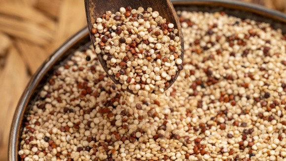 Menor que um grão de arroz, mas repleto de nutrientes… Qual “grão” é bom para baixar o açúcar no sangue?