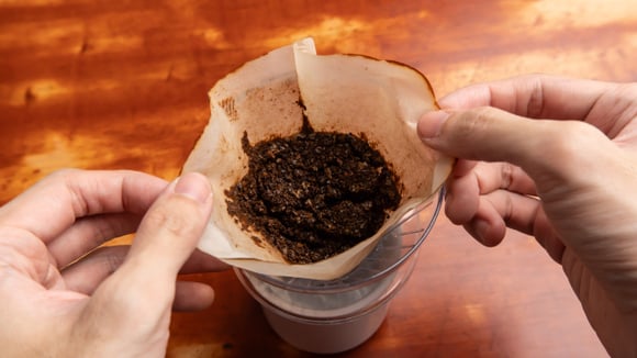 Na próxima vez que fizer café, guarde a borra para usar neste truque (Créditos: Shutterstock)