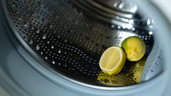 Se você tem metade de um limão, você tem um tesouro: não deixe na geladeira, jogue dentro da máquina de lavar!