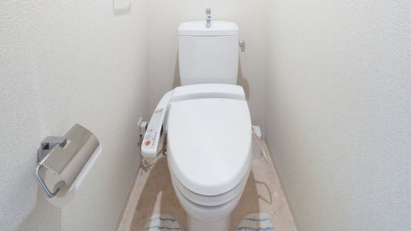 Vaso sanitário com bidê acoplado: entenda as vantagens (Créditos: Canva)