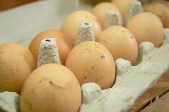 O que acontece se comer ovo estragado? Real perigo vem à tona em dicas de especialista
