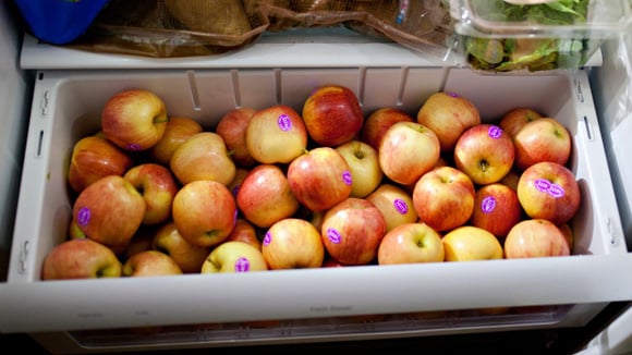 Suas maçãs ficam murchas na geladeira? TudoGostoso revela o jeito certo de armazenar a fruta para mantê-la crocante