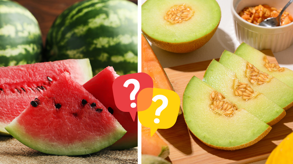 É melhor comer melão ou melancia? Os benefícios e malefícios de ambas as frutas