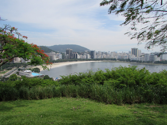 A vista do Mirante do Pasmado é emoldurado pela natureza do parque (Créditos: Paula Araripe/TudoGostoso)