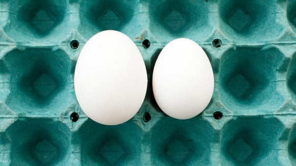 Acabei de descobrir: tamanhos diferentes de ovos são adequados para pessoas diferentes!