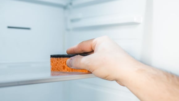 Colocar uma esponja nova na geladeira: para que serve e por que você deve testar esse truque hoje mesmo