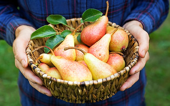 Raúl Cárdaba, vendedor de frutas: “Para encontrar uma boa pera, procure aquelas que são mais compridas do que largas, porque tendem a ser mais doces.”