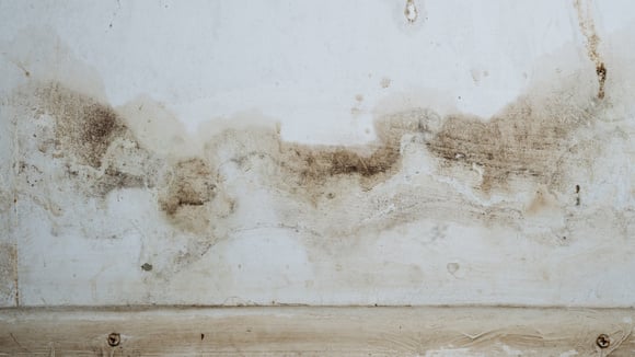 Prestar atenção nesses detalhes para ajudar a evitar um problema maior (Créditos: Magnific)