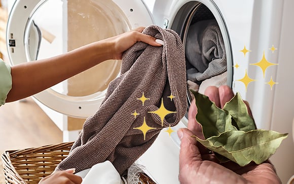 Por que as pessoas estão colocando uma folha de louro na máquina de lavar roupa?