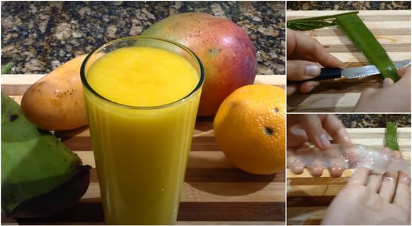 Suco de babosa: como preparar a bebida medicinal do jeito certo (mas não pode tomar todos os dias!)