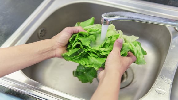Higienizar legumes e verduras antes de armazenar faz com que eles estraguem mais rápido?