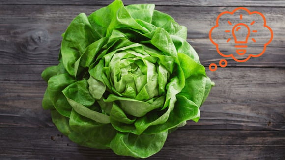 4 maneiras espantosas de usar uma cabeça inteira de alface sem fazer salada