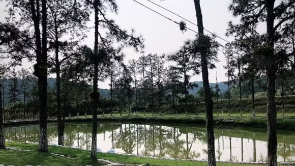 Fazenda era dividida em 3 sedes principais e tinha áreas extensas de lazer e para a criação de animais (Créditos: Reprodução / Casa Morumbi Imóveis)