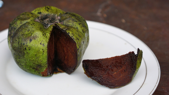 Fruta com gosto de mousse de chocolate é rica em antioxidantes e fácil de cultivar em casa