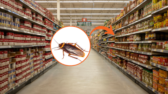 Compre feijão e leve baratas de brinde: fiscalização recolhe mais de 200 kg de alimentos impróprios em seis mercados