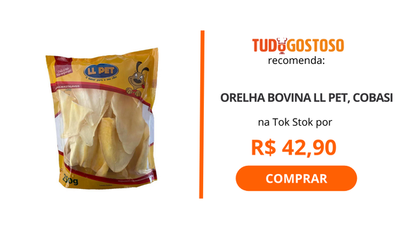 Celebre as festas de final de ano com o seu pet com estas opções de biscoitos caninos!