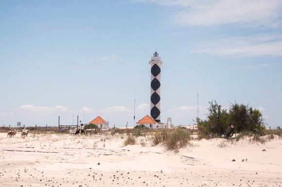 Farol Albardão é uma das principais atrações da Praia do Cassino (Créditos: Shutterstock)