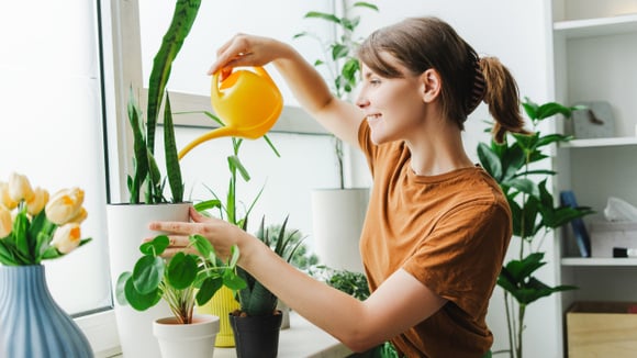 10 plantas da sorte para atrair felicidade e positividade para a sua casa no novo ano
