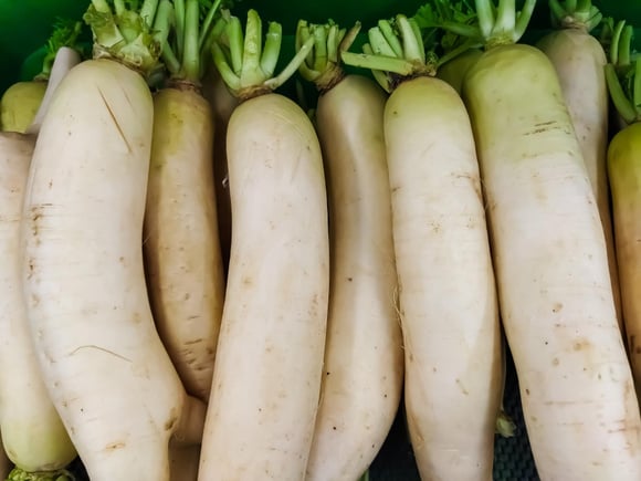 Raiz poderosa e versátil, o daikon é o segredo da culinária japonesa para manter a imunidade alta e o corpo leve. (Foto: Shutterstock)