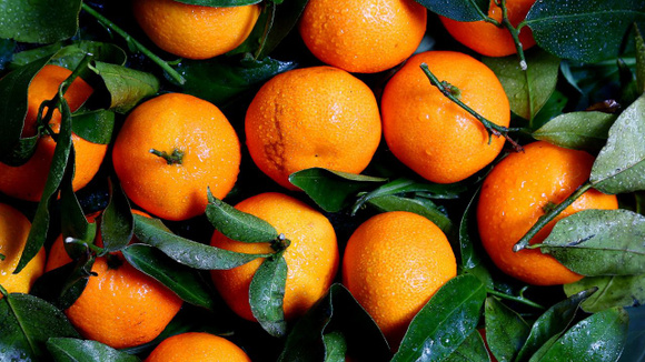 Laranjas estão entre as frutas com mais pesticidas (Créditos: Canva)