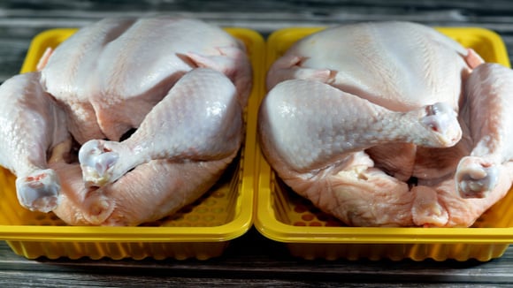 Muitos tem certeza, alguns tem dúvida: tem hormônio no frango? A ciência finalmente encerra o debate