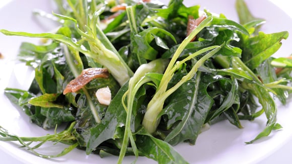 Esse é o vegetal que os italianos comem na salada: é crocante, ajuda na digestão e muito fácil de preparar