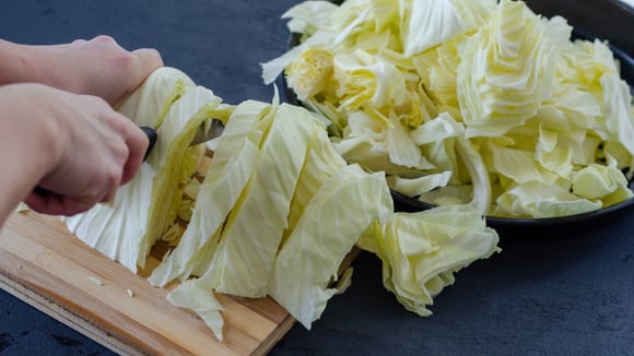 Aprenda um dos melhores jeitos de comer repolho: receita é sucesso na culinária asiática