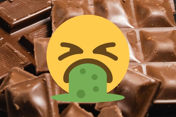 Polêmica: tem barata no chocolate?! Desvendamos essa história nojenta para vocês!